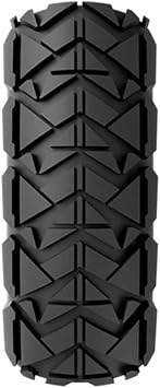 Vittoria Evolution Tire