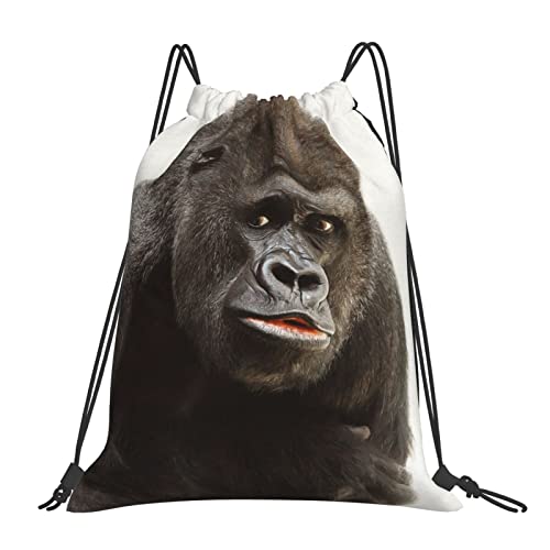 C̃S ibvTbN WTbN X|[cobO v[obO ̑ e [֗ y  W  Lv j Aj ObY G j̎q ̎q