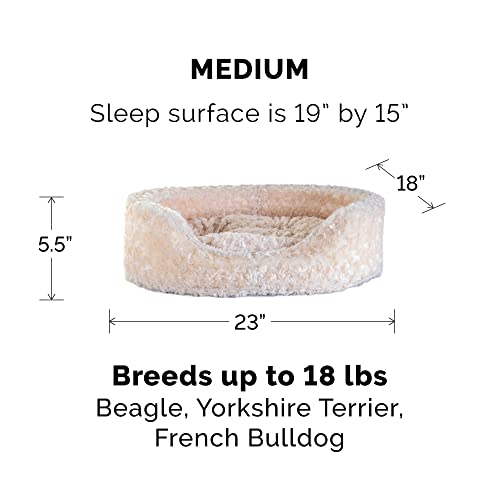 Furhaven Dog Bed For Medium/Small Dogs W/ Removable Washable Cover & Pillow Cushion Insert, For Dogs Up To 18 Lbs - Ultra Plush Faux Fur Oval Lounger - Cream, Medium #TOP1