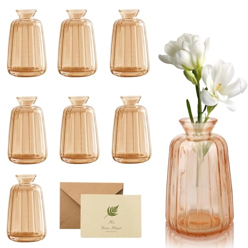 TOSUTO Pequeños Floreros de Cristal