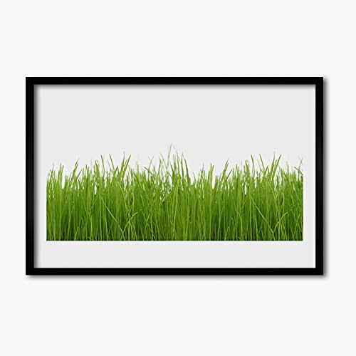Affiche encadrée 60x40 cm herbe nature avec cadre en MDF Tulup