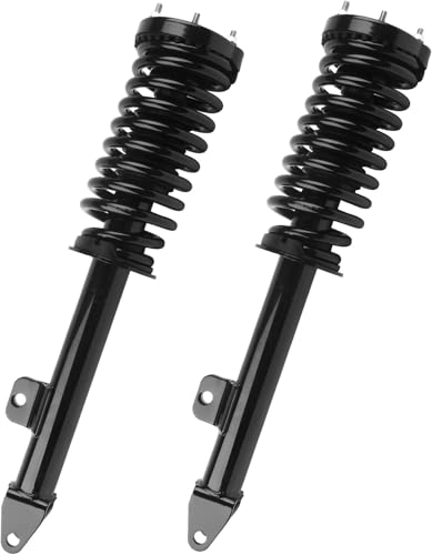 OREDY 172248 - Front Struts Coil Springs for RWD 2.7L 3.5L 2005-2010 Chrysler 300/Dodge Charger/Magnum, Driver & Passenger Side Shock Absorbers Assembly