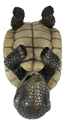 Ebros Gift Drunken Coastal Sea Turtle Tortoise Wine Bottle Holder Caddy Figurine As Home Kitchen Wine Cellar Decorative Storage Organizer Wild Aquatic Animals Turtles Terrapins Tortoises Decor #TOP4