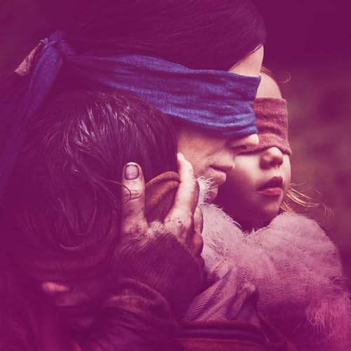 Birds Are Good Stuff (Premonition/Bird Box)