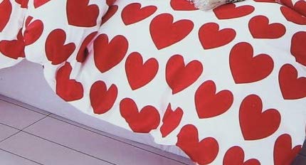 MIL Furnishings Polycotton Queen Size Quilt Cover with Bedsheet(Maroon, 90x100-inch) 1