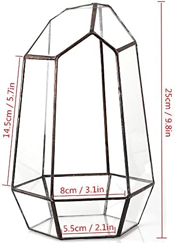 NCYP Handmade 25cm Geometric Glass Terrarium for Succulent Air Plants Fern Moss Flower, Modern Garden Irregular Prism Glass Planter Pot, Indoor Tabletop Terrarium Decor (No Plants Included, No Door)