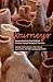 Journeys: Reconceptualizing Early Childhood Practices through Pedagogical Narration