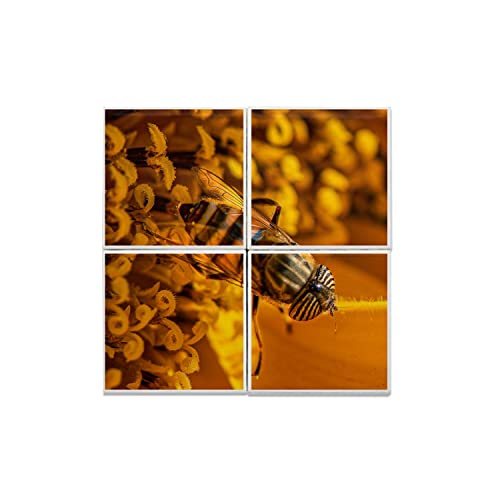 Carreaux céramique décoratifs 20x20 fleur et insecte volant pour mur intérieur