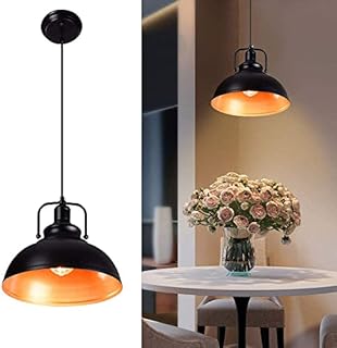 Depuley Retro Industrial Ceiling Lighting, Black-Golden Ceiling Pendant Light with E27 Base, Modern Ceiling Lighting Shade for Bedroom Hallway Office Coffee Shop(No Bulb)