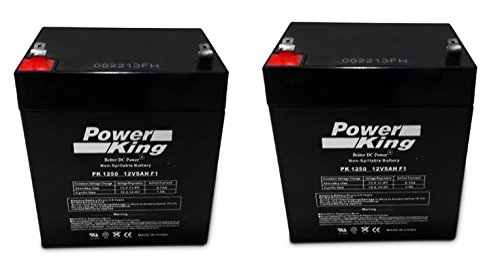 Set of 2 12V 5.0Ah Rechargeable SLA Scooter Batteries Compatible with Razor E175