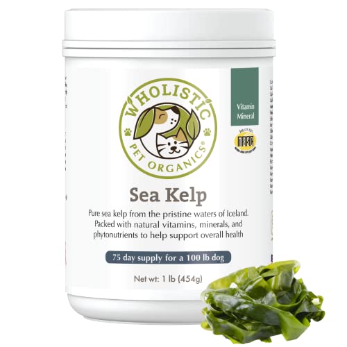 Wholistic Pet Organics Sea Kelp: Icelandic Dog Sea Kelp - Organic Kelp Powder with Iodine, Iron, Calcium and Antioxidants - Sea Kelp Supplement for Dogs Teeth, Thyroid Function, Skin and Coat - 1 Lb