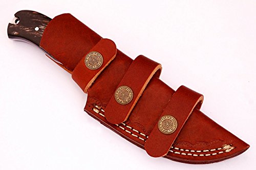 Sharpworld Buffalo Horn Damascus Knife Made Of Remarkable Damascus Steel -Best Hunting Knife With Sheath Tj105 #TOP5