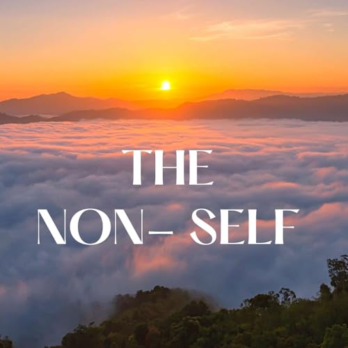 The Non- Self | What Is It?