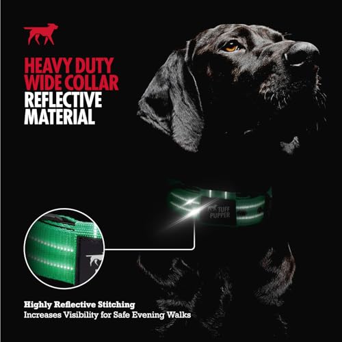 Image of Tuff Pupper Heavy Duty Tactical Dog Collar | 1.25 inch Wide Ballistic Nylon | Reflective Stitching | Integrated ID Tag Holder | Stainless Steel Buckle | Padded Lining | Small & Medium Dogs (Green, Small)