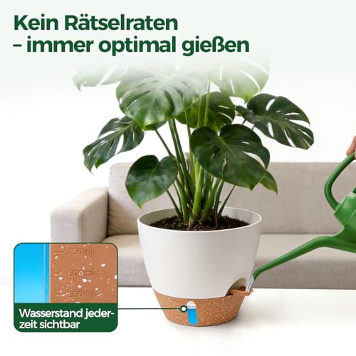 T4U 2er Set 30cm Selbstbewässernder Blumentopf mit Überlaufschutz, für Gummibaum & Geigenfeige, blumentopf Gross innen & pflanzkübel groß außen, Weiß