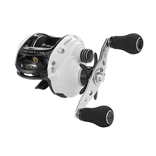 Baitcastrolle WFT Salt & Big Fish