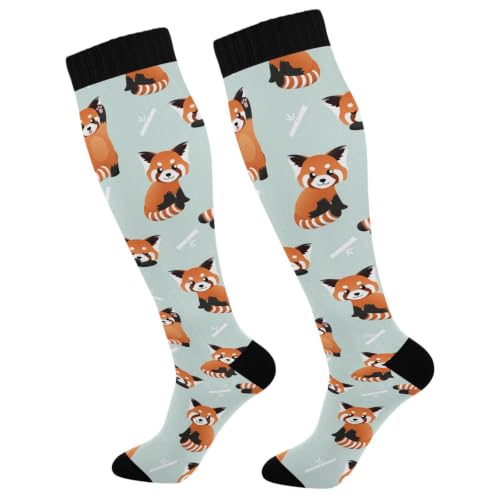 Image of Compression Socks for Women & Men Knee High Socks | Circulation, Medical, Running, Athletic, Nurse, Travel, 1 Pair