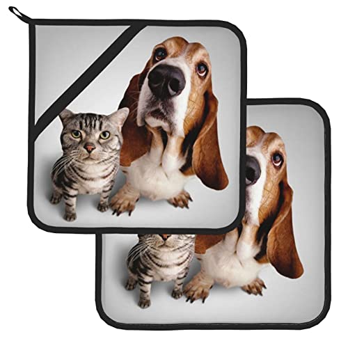 Personalized Custom Oven Mitts Pot Holders Set,Add Your Photo Image Customized Resistant Hot Pads With Polyester Non-Slip Bbq Gloves And Mat For Kitchen,Cooking,Baking,Grilling Style1 #TOP1