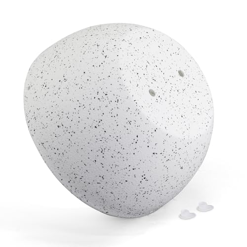 Meowell Plantadores suspensos de 25,4 cm para plantas internas e externas, pacote com 2 vasos de flo