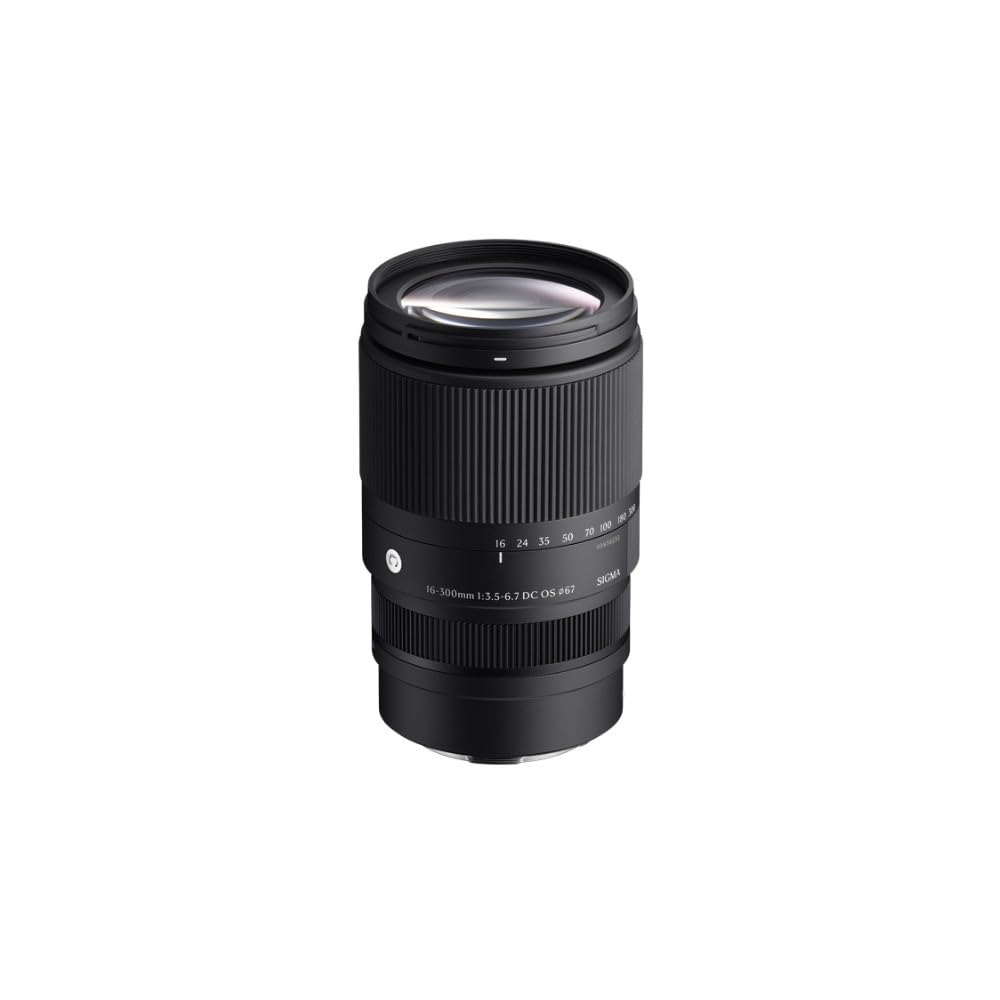 16-300mm F3.5-6.7 DC OS | Contemporary : Amazon.ca: Electronics