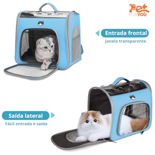 Mochila De Transporte Pet Passeio Viagem Cores Bolsa Visão Panorâmica Astronauta Cães Gatos (Azul)