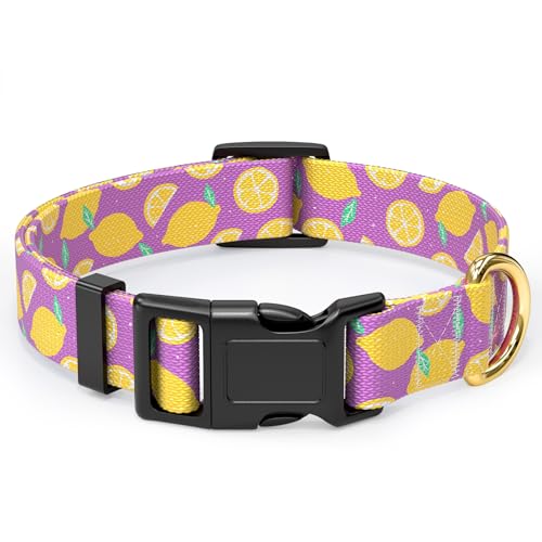 Rnivvi Small Dog Collar, Adjustable, Quick Release, Lemon