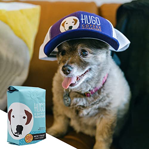 Hugo Coffee Whole Beans | New Trick Light Roast | With Bright, Playful And Sweet Tasting Notes - Supports Dog Rescues (12 Oz) #TOP5