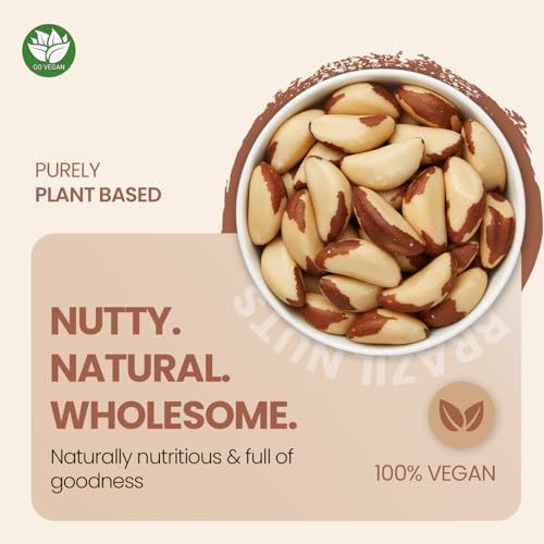 Image of GoVegan Premium Brazil Nuts 100gm | 100% Natural & Vegan | Rich in Selenium, Protein & Healthy Fats | Superfood for Energy
