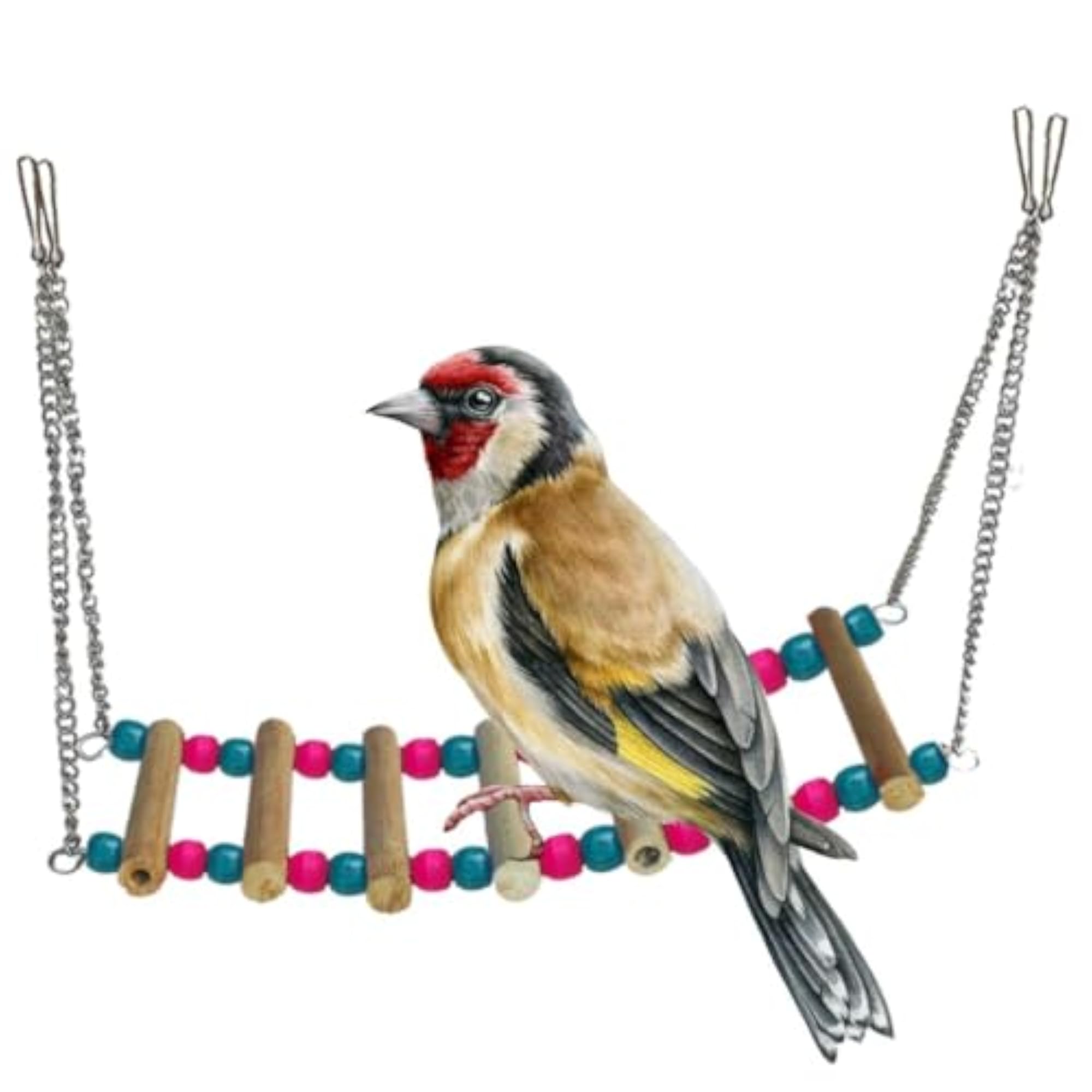 Vibrant 26cm Ladder Chain Toy for Parrots & Budgies