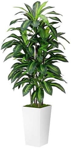 Artificial Dracaena Plant Indoor 5FT - Fake Tree with White Tall ...