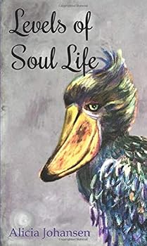 Paperback Levels of Soul Life: Understanding Your Souls Progress Book