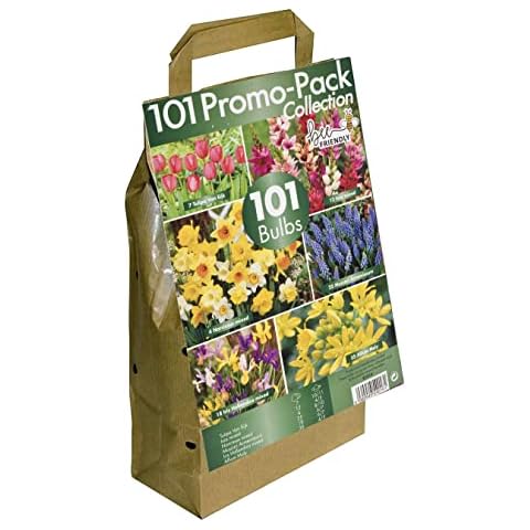 GreenBrokers Big Buy Value Bulb Collection- Pack of 6 Spring Flowering Varieties (Pack of 101) Bee Friendly, Mega Pack 101 Cover