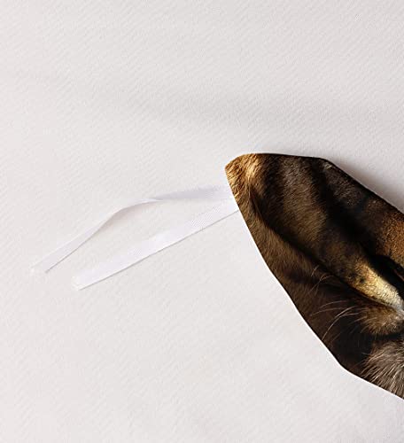 Holiyjog Lion Duvet Cover Set For Kids Animal Quilt Cover Set With 2 Pillowcases Twin Size Wildlife Bedding Sets For Boys Lions Bedroom Decor #TOP4