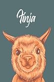 Finja: Personalisiertes Notizbuch / Vorname Finja / gepunktetes Papier / 120 Seiten / A5