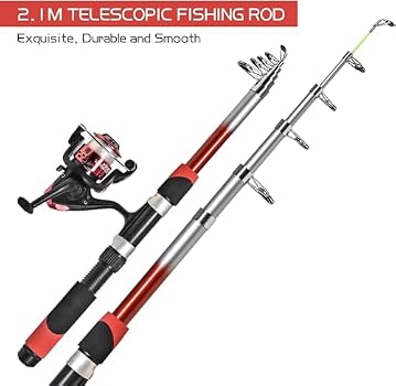 Kit Pêche Télescopique 2 Cannes + Moulinets - Accessoires Complets Sac Inclus