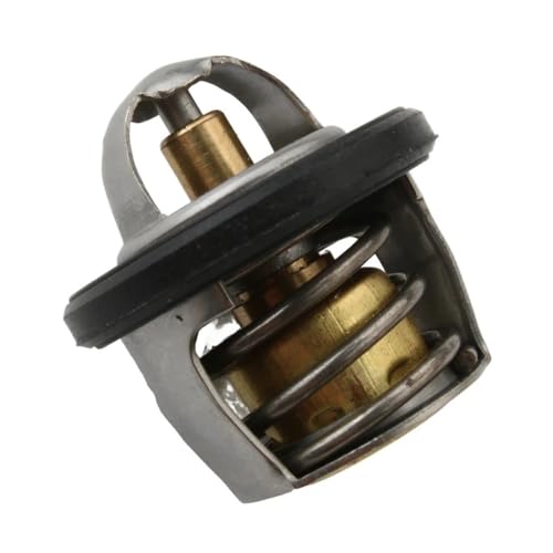 Thermostat d'eau haute précision pour réguler la température de votre moteur NSS 250 FES250