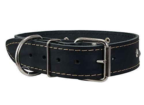 Dogs My Love Studded Genuine Leather Dog Collar #TOP20