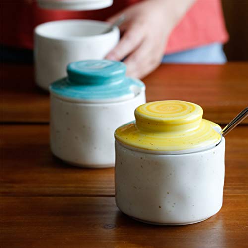 Pot assaisonnement céramique maison créative pour stopper l'humidité du sel