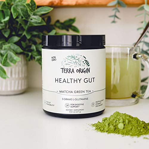 Healthy Gut Matcha Green Tea | 30-Servings With L-Glutamine, Zinc, Glucosamine, Slippery Elm Bark And More! #TOP3