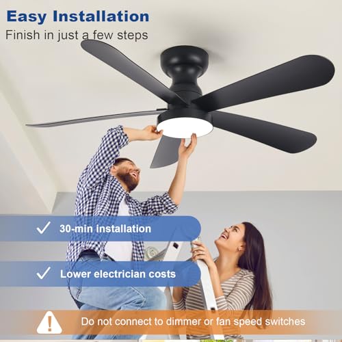 Image of Depuley Black Ceiling Fan with Lights: 42-Inch Flush Mount Fan with Light and Remote - Low Profile Ceiling Fans Reversible Quiet DC Motor for Bedroom Living Room Indoor Outdoor