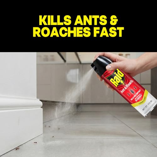 Image of Raid Ant & Roach Killer Spray For Listed Bugs, Keeps Killing for 13 Weeks, Lemon Scent, 17.5 oz