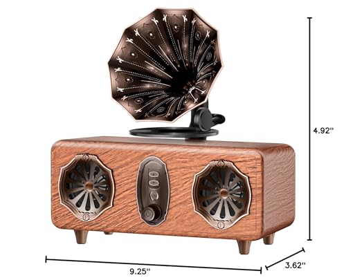 FREEFISH Retro Bluetooth Speaker Retro Radio with 5.4 Bluetooth Version, FM Radio, Bass Vintage Wireless Speaker Support USB/TF/AUX Player for Home Office Room Bedroom