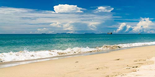 Aofoto 6X3Ft Summer Beach Background For Photography Poster Seaside Sand Blue Water View Blue Sky Coulds Wedding Portrait Photo Shoot Backdrop Vinyl Wallpaper Vacation Holiday Photo Studio Props #TOP23