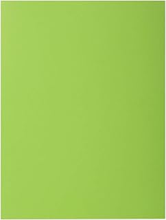 Exacompta 210013E - Lote de 100 Subcarpetas Rock"S 220, Color Verde Claro
