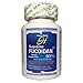 Hippo Herbs Supreme Fucoidan 95% Supplement with Mozuku Extract 289.5mg Agaricus Blazei 150mg Cordyceps Sinensis 50mg (60 Vegetable Capsules) Super Antioxidants Support Immune System Health | Natural