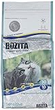 Bozita