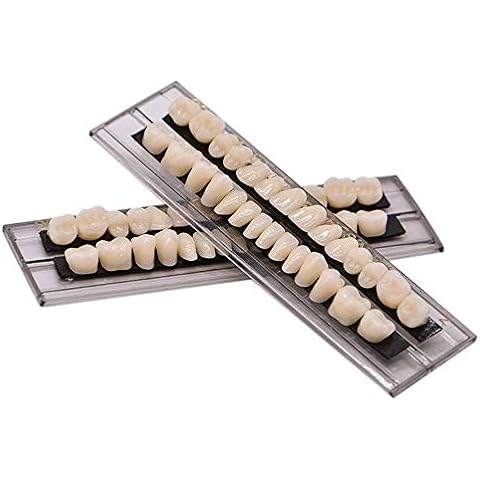 MIBICIRI 56Pcs Dental Synthetic Acrylic Teeth Resin Denture False Teeth for Halloween Horror Prop 23 A2(28 Pcs/Set) Cover