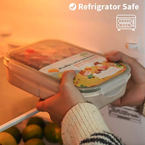 Bento Box,Miss Big Bento Box For Kids,Ideal Leak Proof Lunch Box Kids,Mom’s Choice Kids Lunch Box, No Bpas And No Chemical Dyes,Microwave And Dishwasher Safe Lunch Containers(White) #TOP7