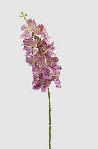 EDG Enzo De Gasperi Enzo De Gasperi Orchidée Vanda Branche Artificielle H 70 Cm Fuchsia