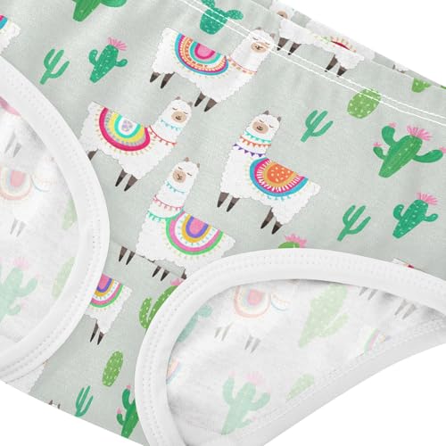 Cute Llamas Alpaca Toddler Girls's Underwear 2T 202c12914